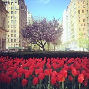 Meet your Posher, Luz